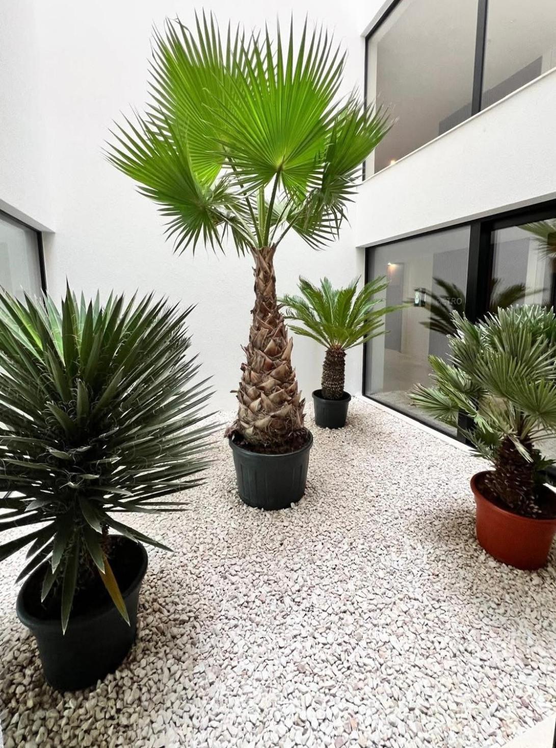 Baltic Waves Resort & Spa Miedzyzdroje Międzyzdroje Kültér fotó